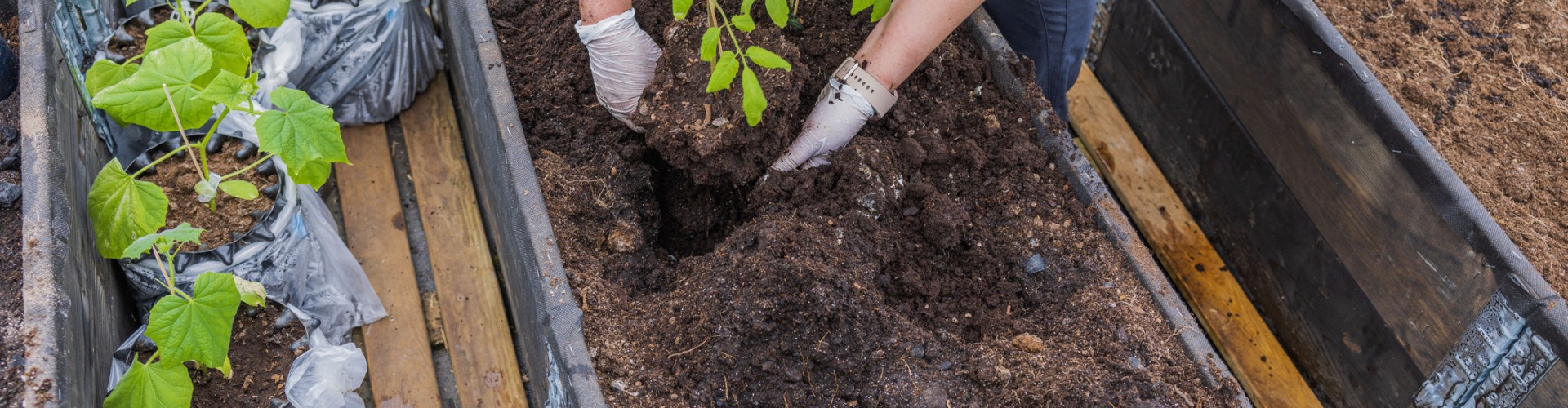 Atelier jardinage
